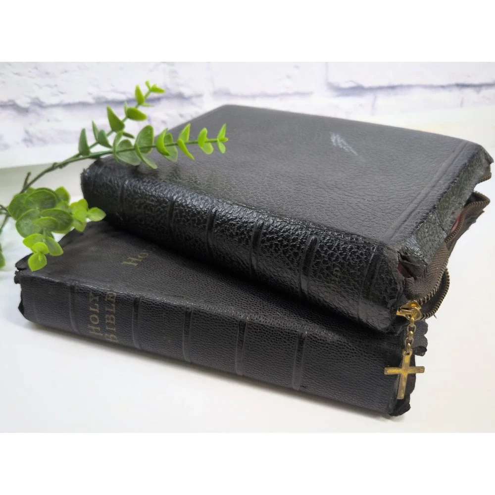 VNTG LOT 2 NEED TLC🚨Holy Bible KJV World Publishing Co. Illustrated -NO WRITING
